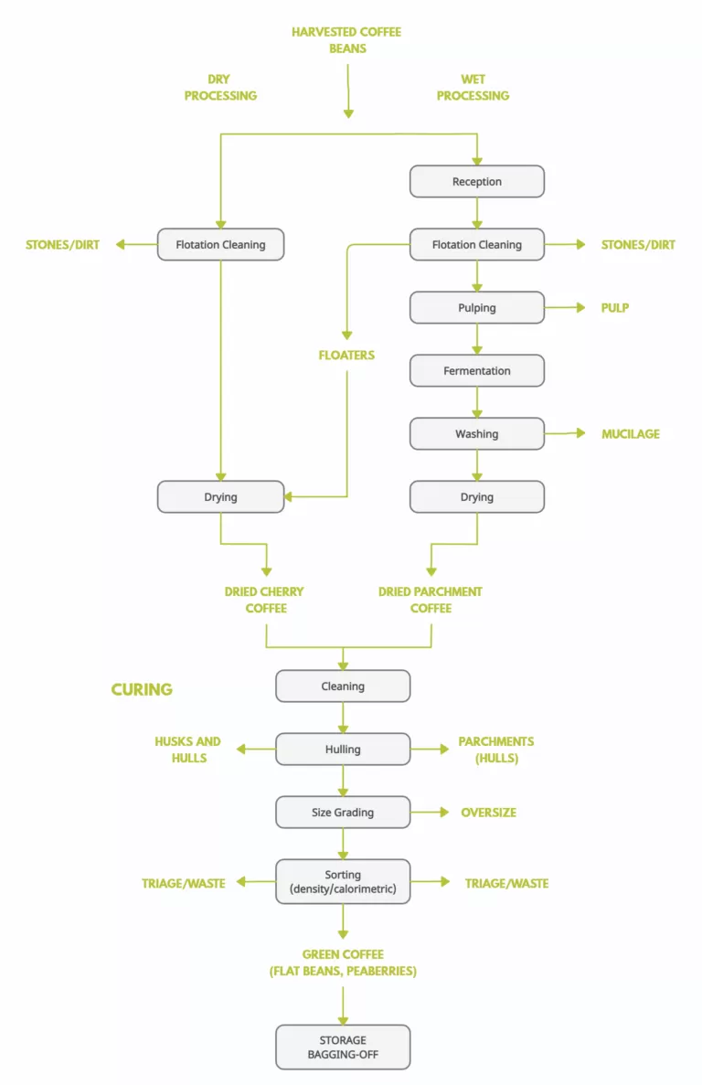 Coffee Beans Process Chart